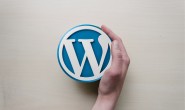 将你的wordpress网站提交到百度
